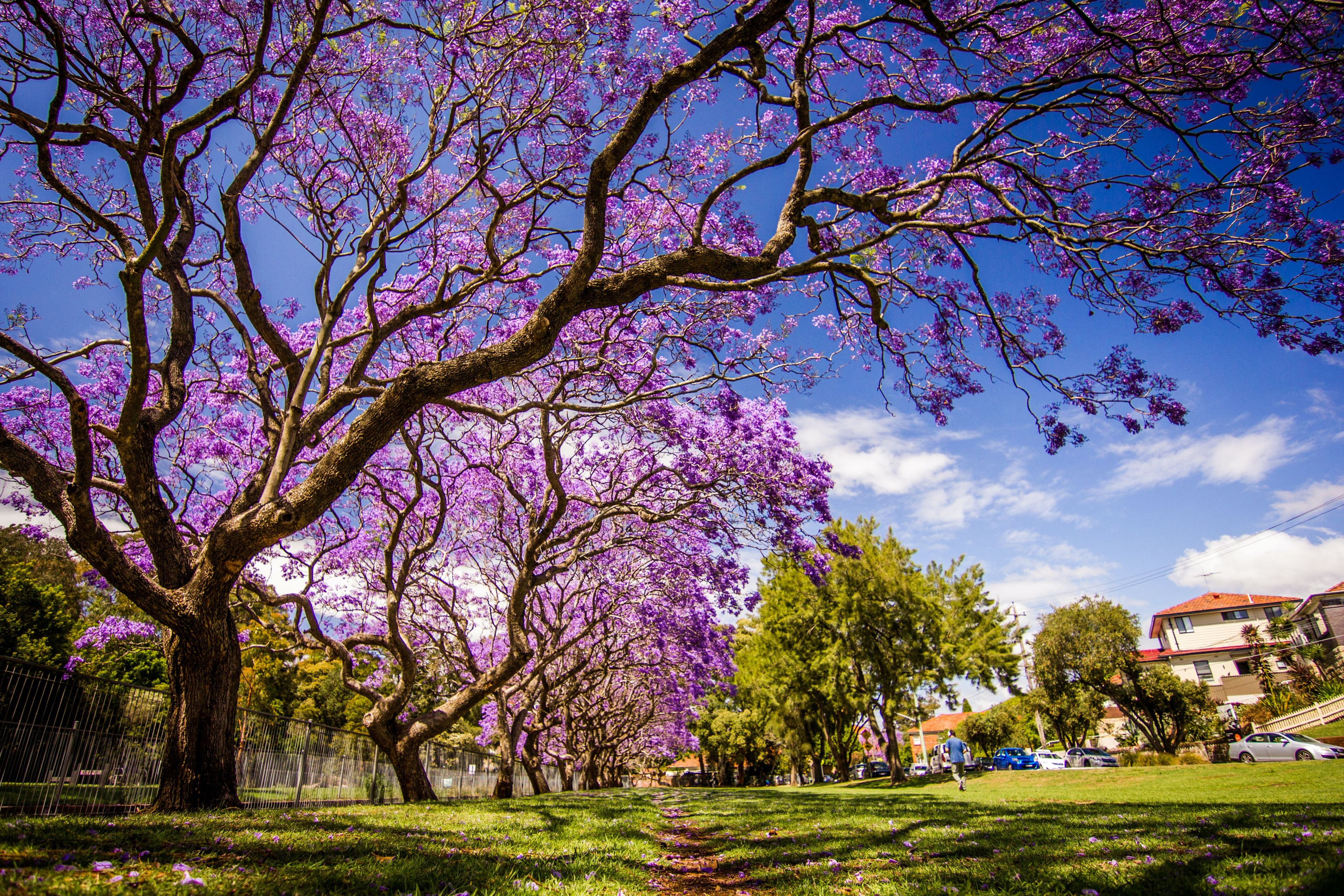 Wellness & health services in central Brisbane, Queensland