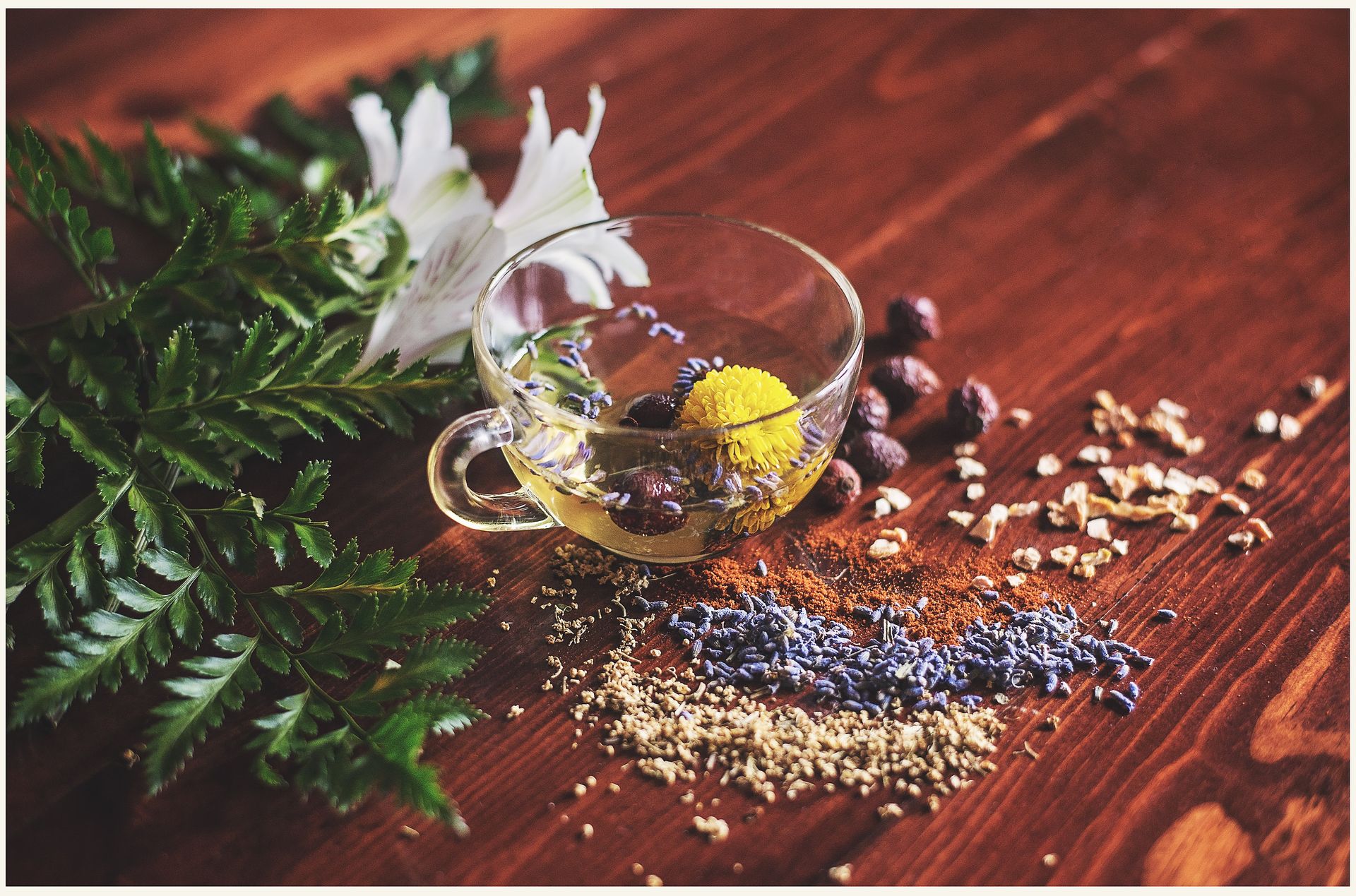 Holistically combine modern and traditional treatments with Naturopathy at New Farm Wellness Centre in Brisbane.